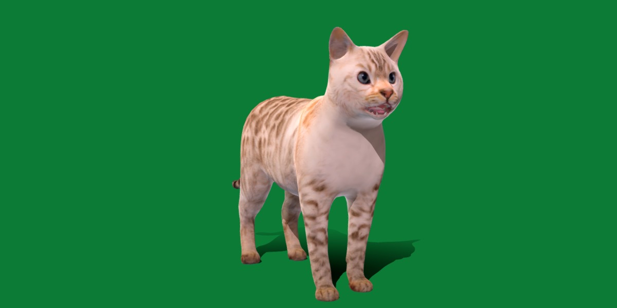Snow Bengal Cat Low-poly 3D model_12