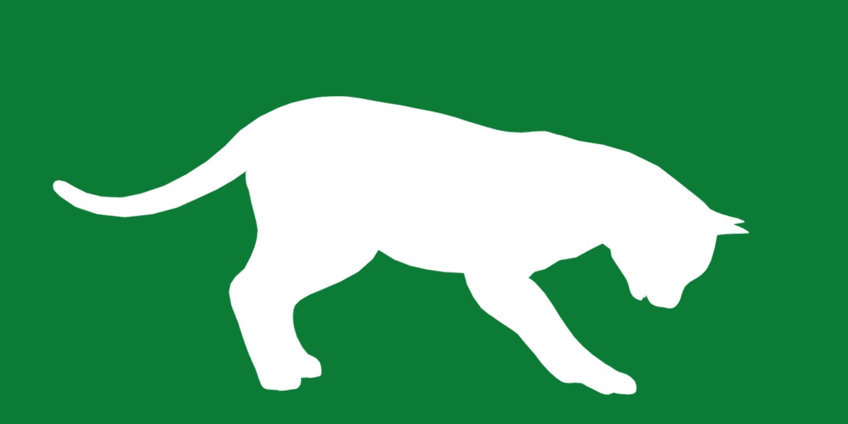 Snow Bengal Cat Low-poly 3D model_32