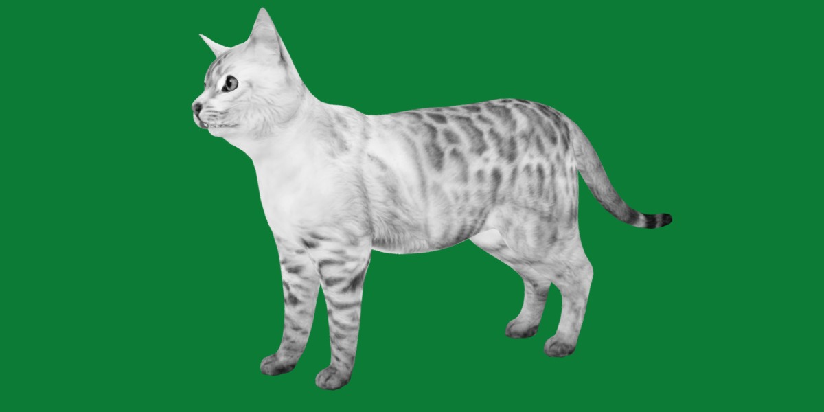 Snow Bengal Cat Low-poly 3D model_14