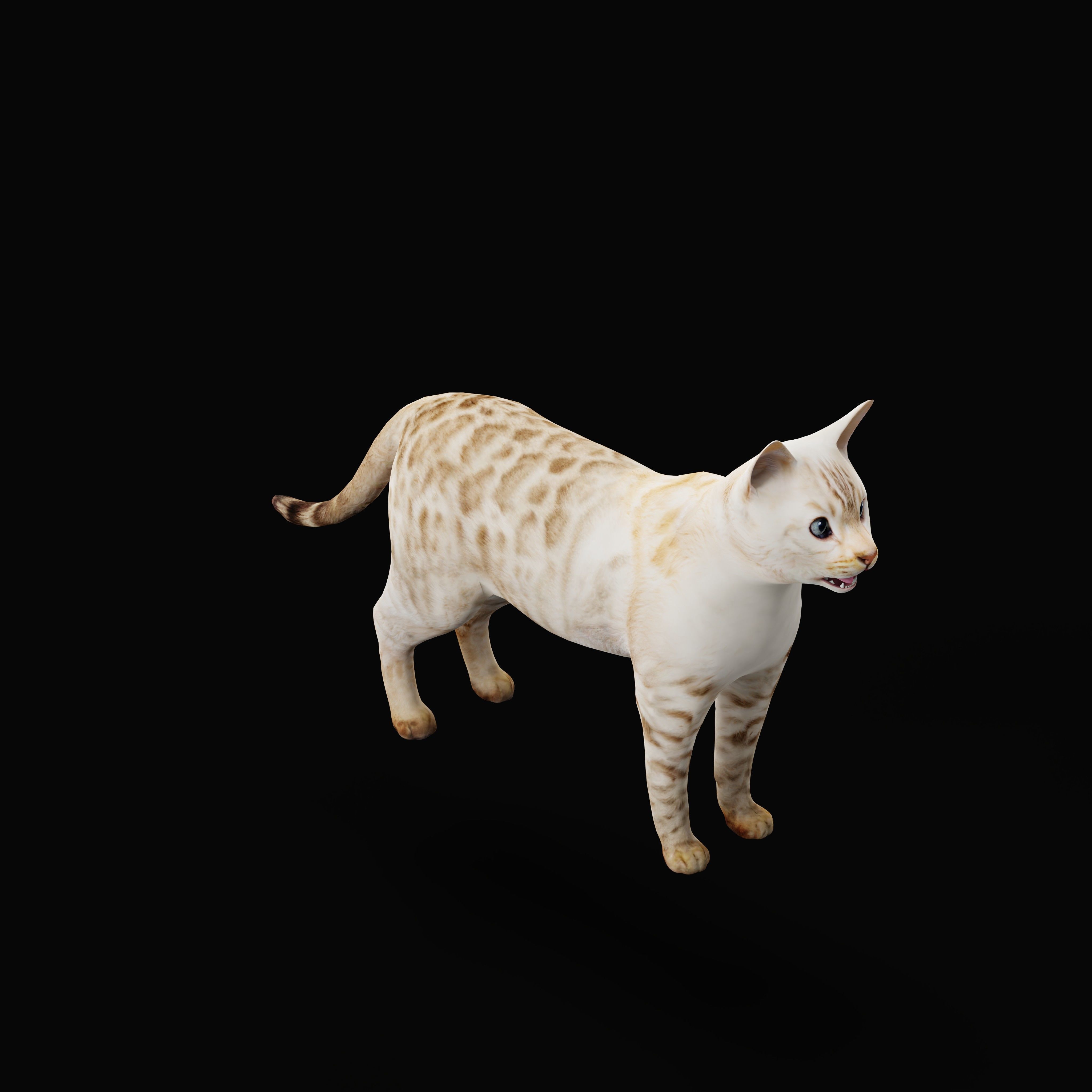 Snow Bengal Cat Low-poly 3D model_8