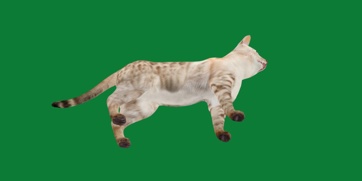 Snow Bengal Cat Low-poly 3D model_28