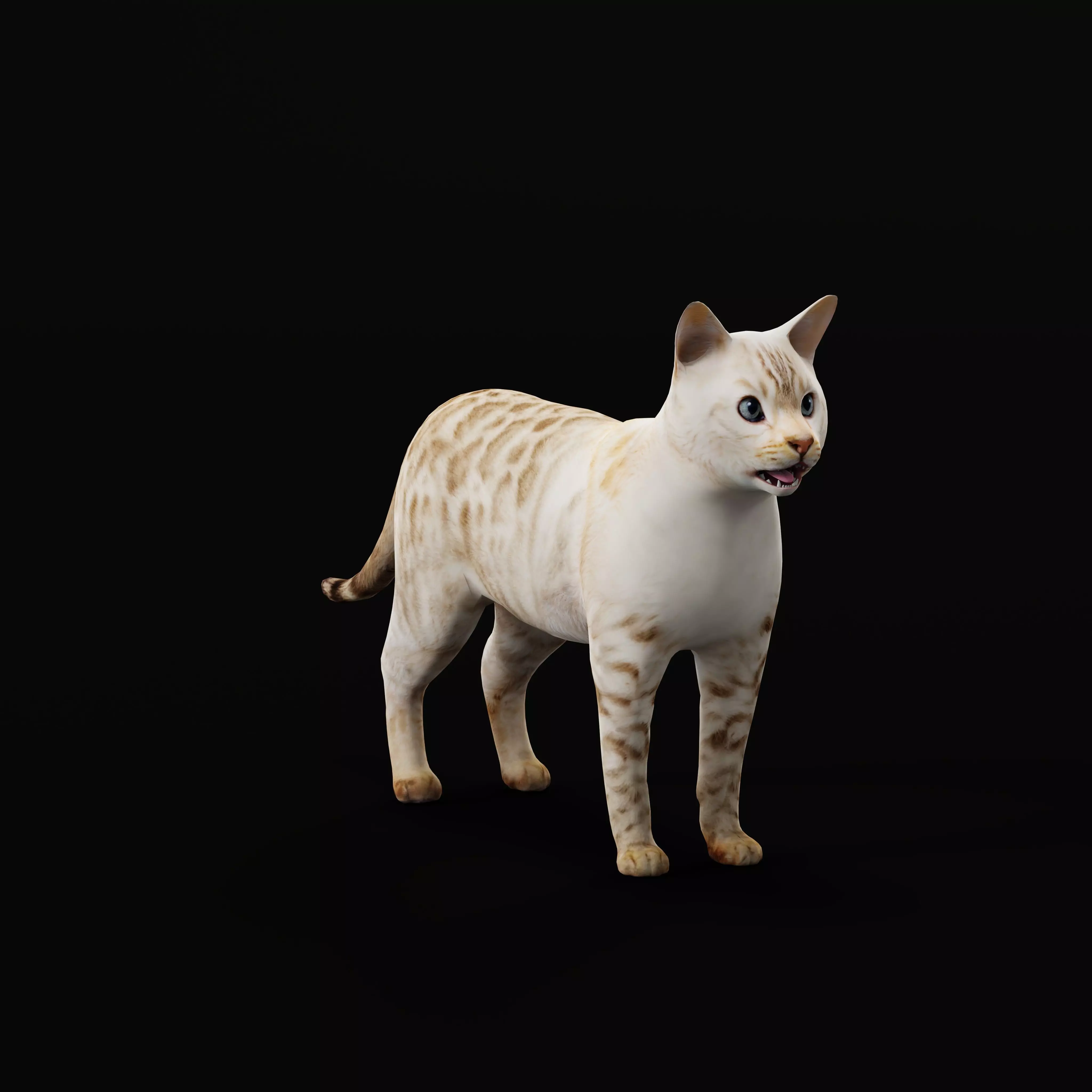Snow Bengal Cat Low-poly 3D model_0