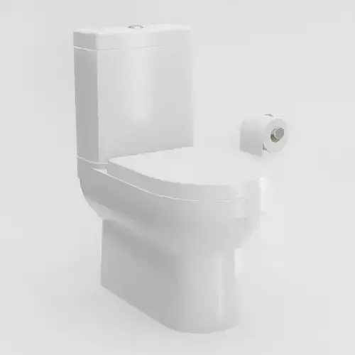 Toilet And Toilet Paper