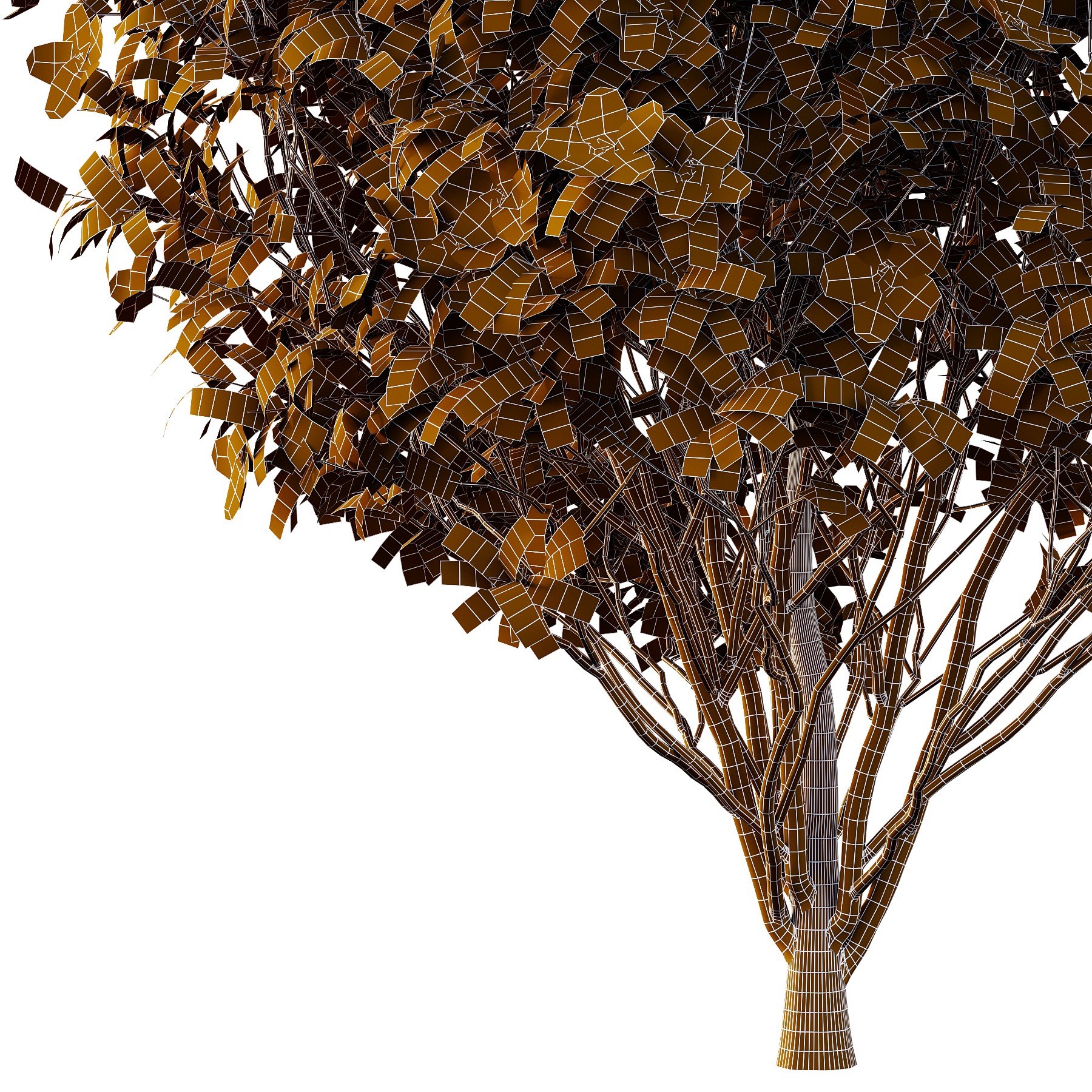 Tibouchina Semidecandra Bush 01 3D model_5