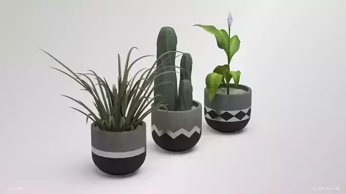 Indoor Plants Pack