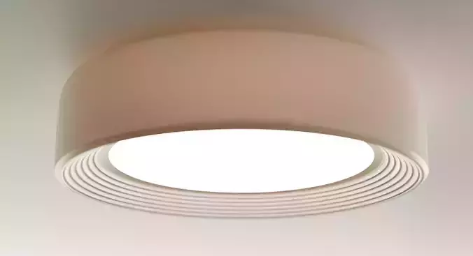 Japanese Minimalism Ceiling Lamp