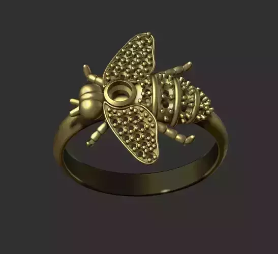 fly ring 3D print model