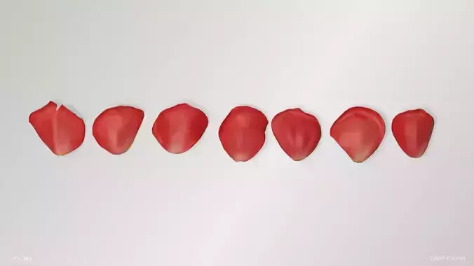 Red Rose Petals Low-poly 3D model