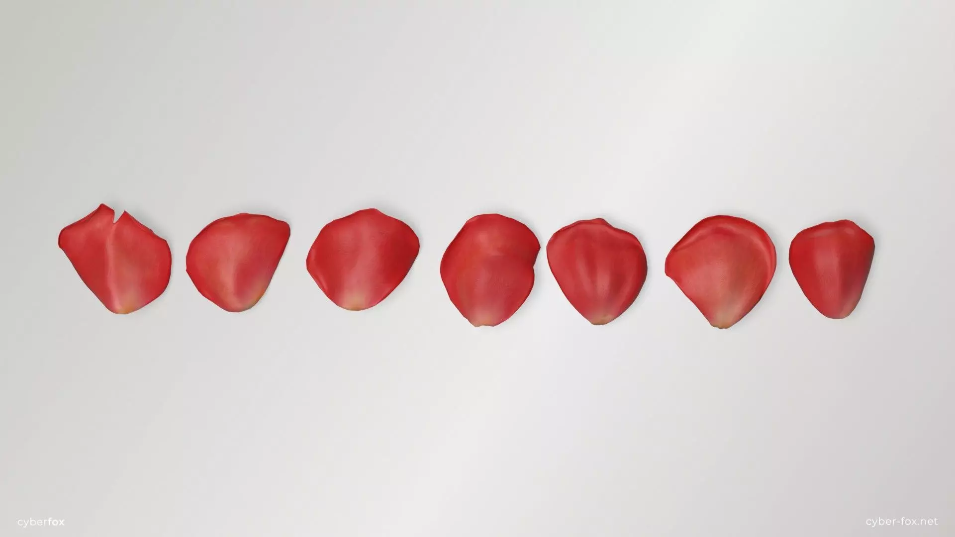 Red Rose Petals Low-poly 3D model_0