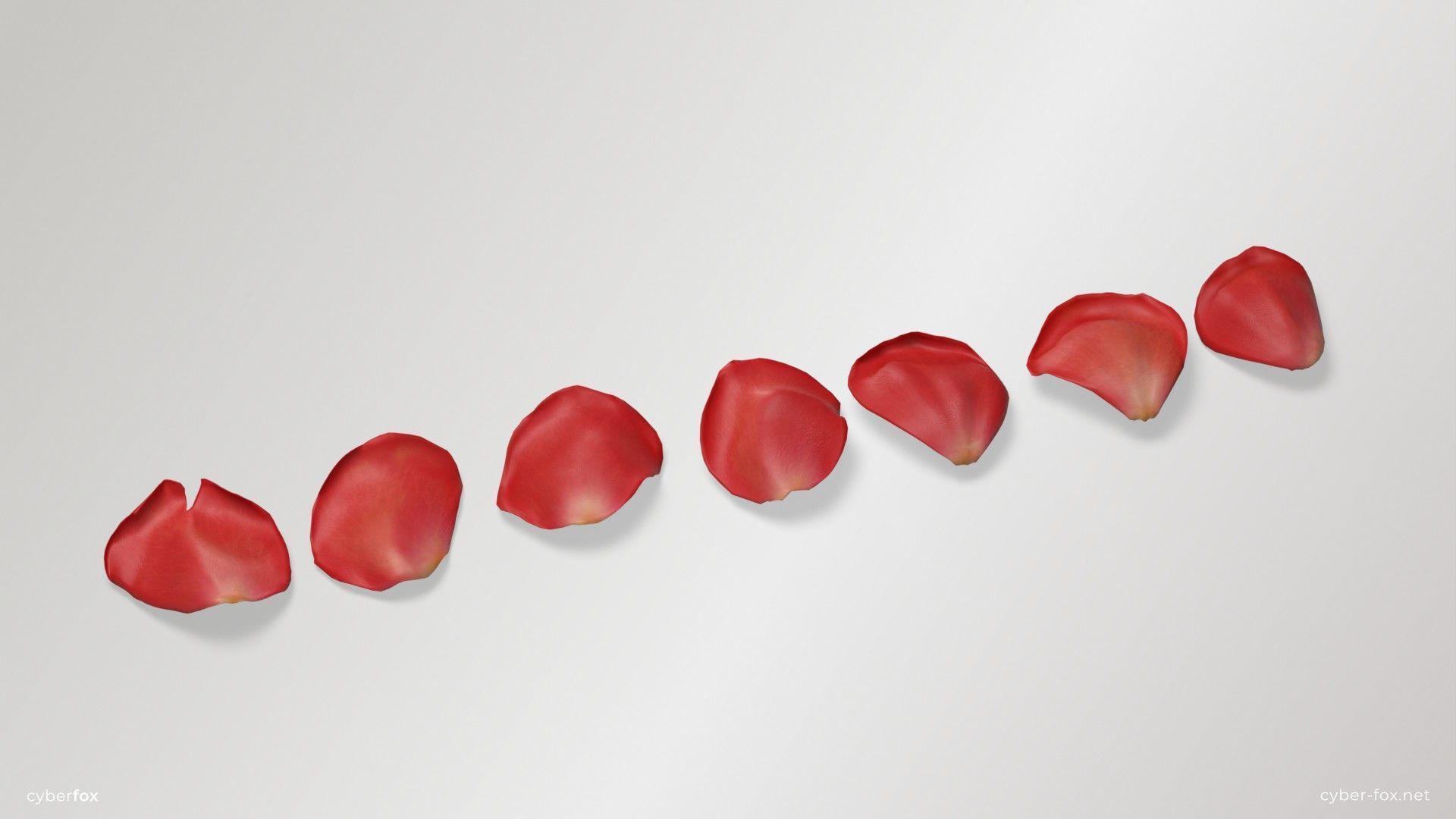 Red Rose Petals Low-poly 3D model_1
