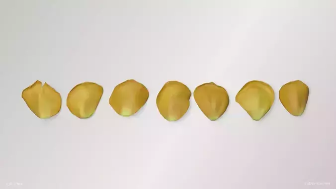 Yellow Rose Petals Low-poly 3D model