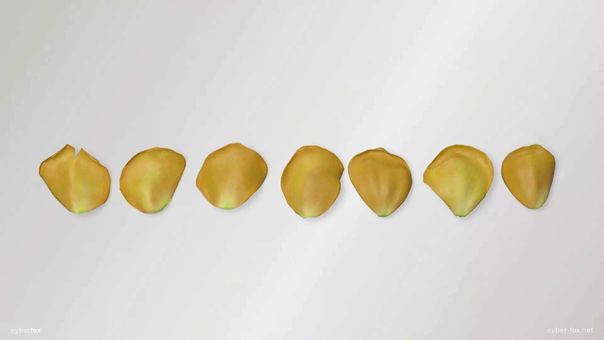 Yellow Rose Petals Low-poly 3D model_0