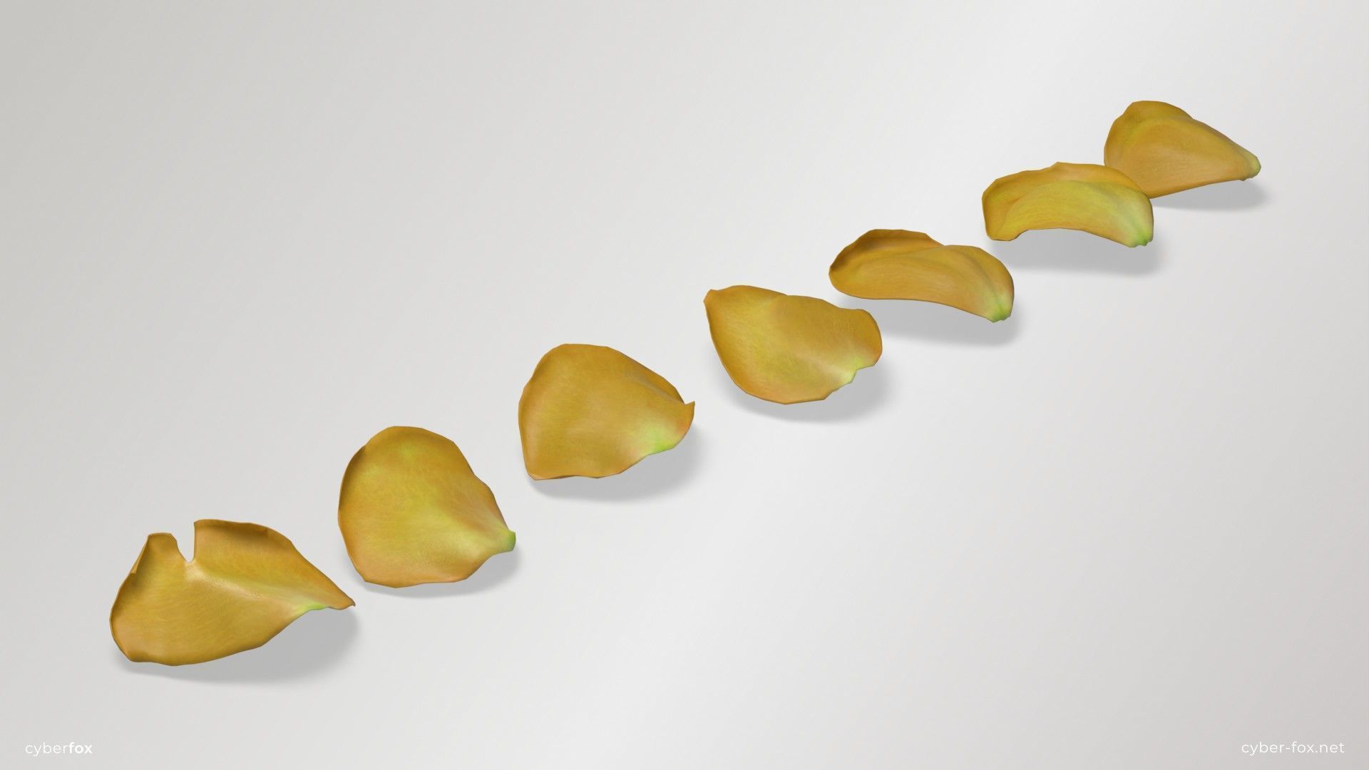Yellow Rose Petals Low-poly 3D model_2