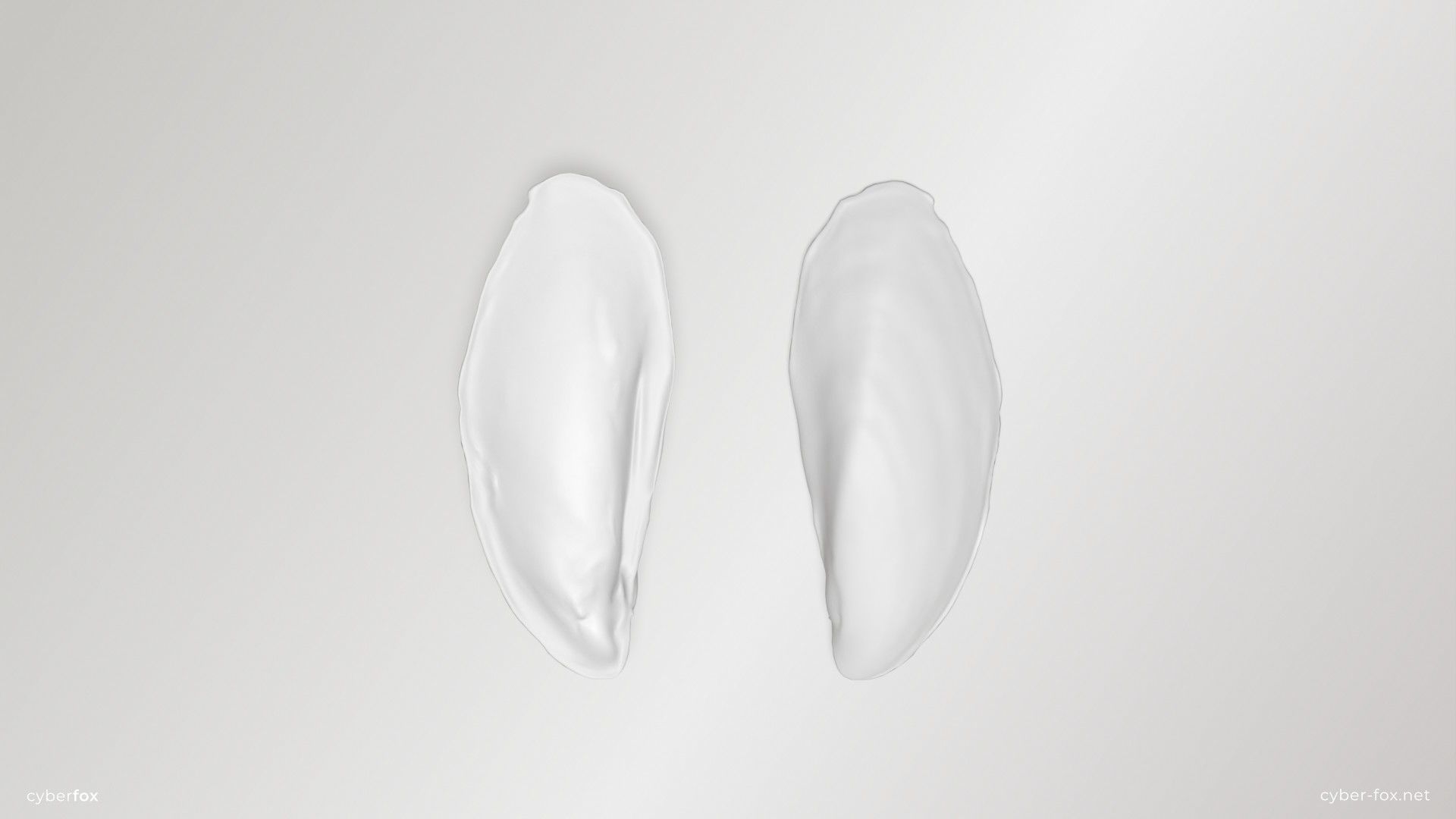 Mussel Shell Low-poly 3D model_12