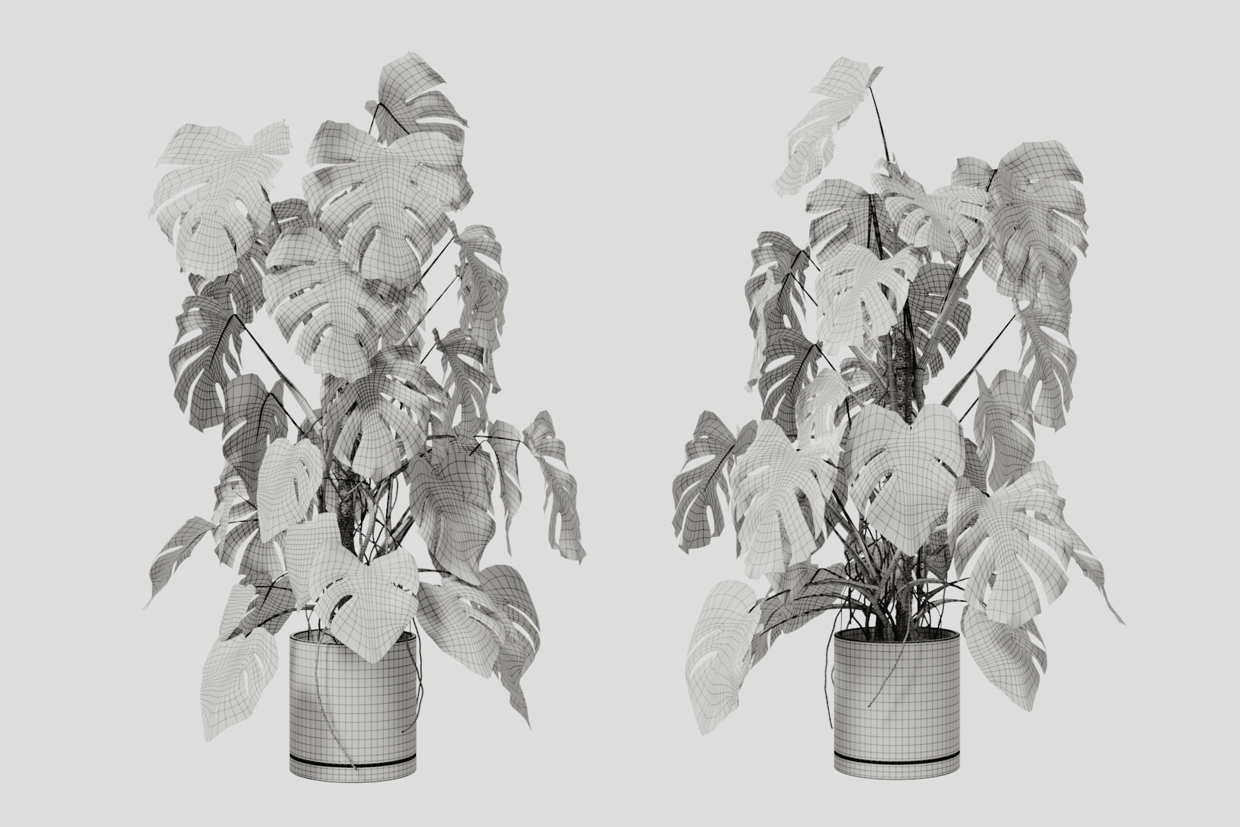135cm Accurate high-poly Monstera Deliciosa in pot 3D model 3D model_8