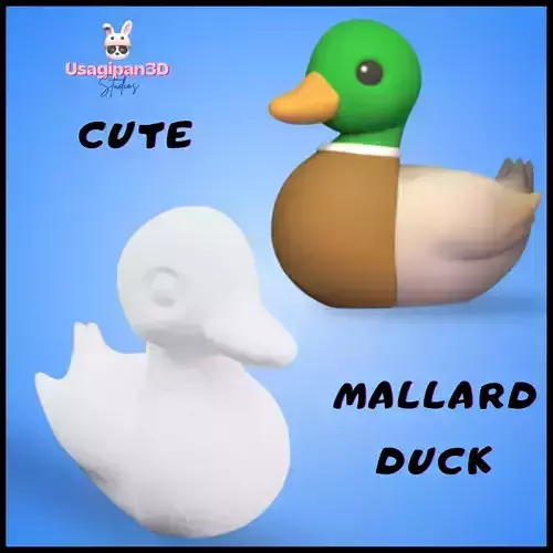 Cute Mallard Duck