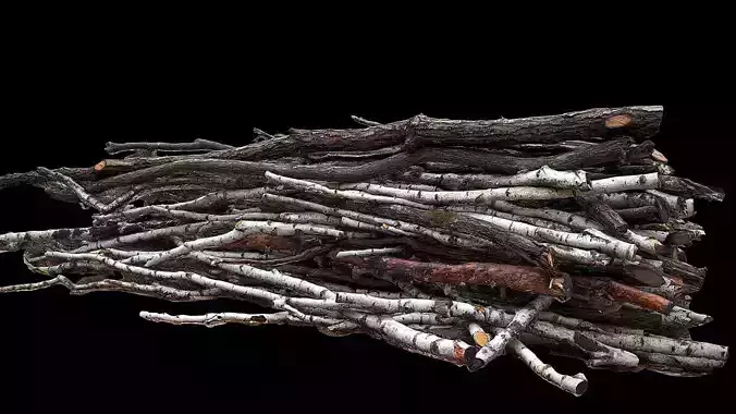 wood branches forest side part2 photogrammetry 
