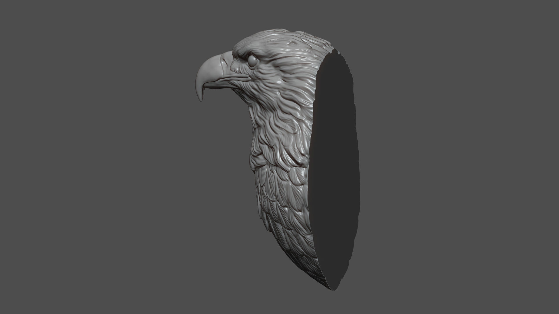 Eagle head 3D print model_10