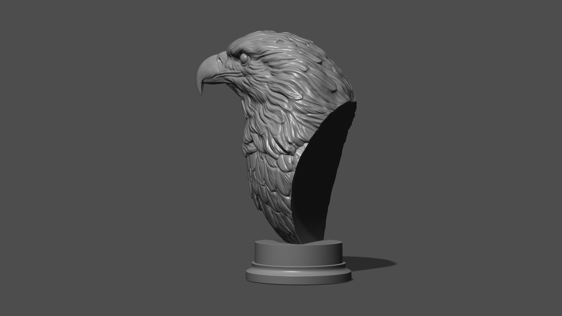 Eagle head 3D print model_16