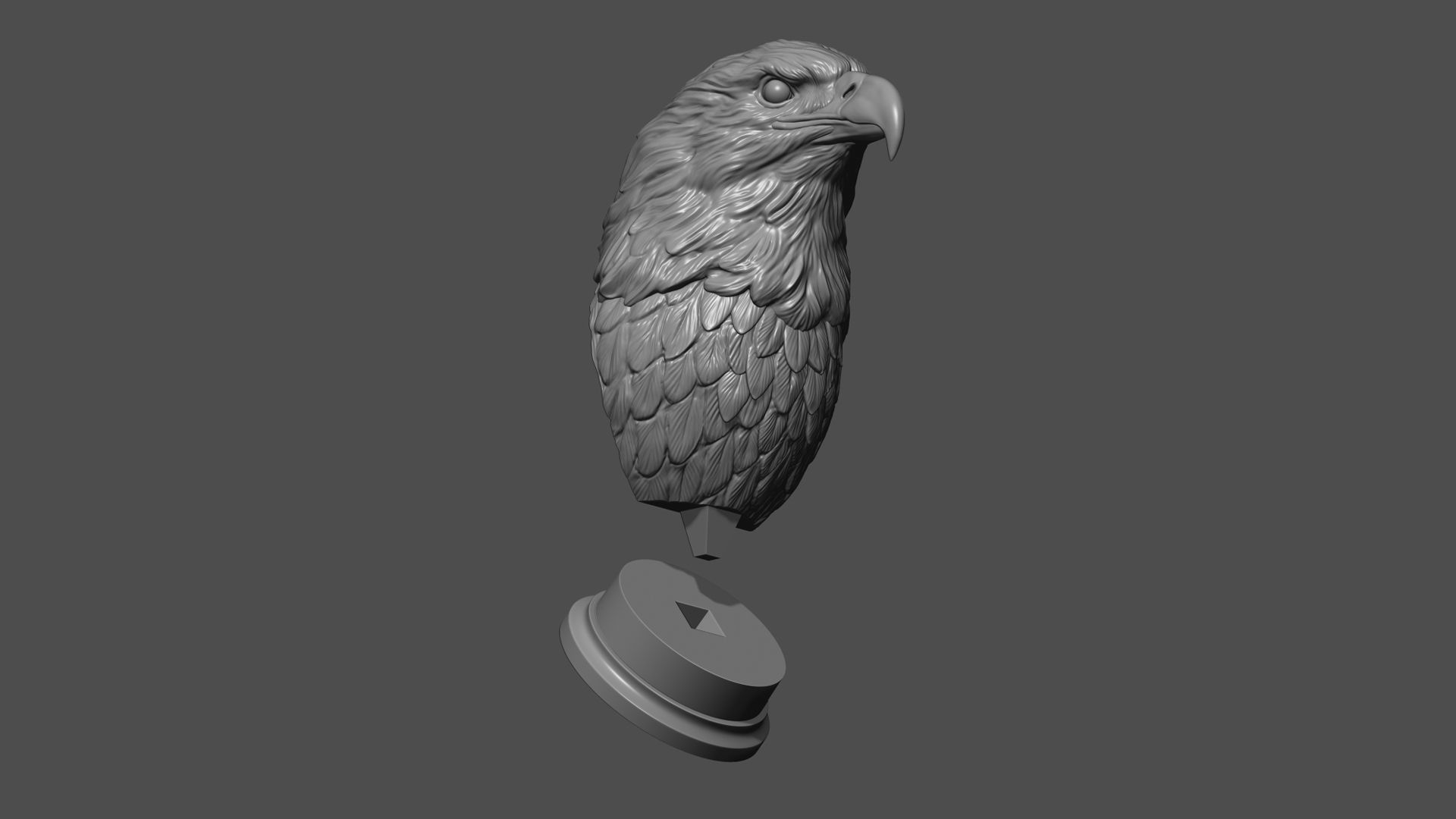 Eagle head 3D print model_13