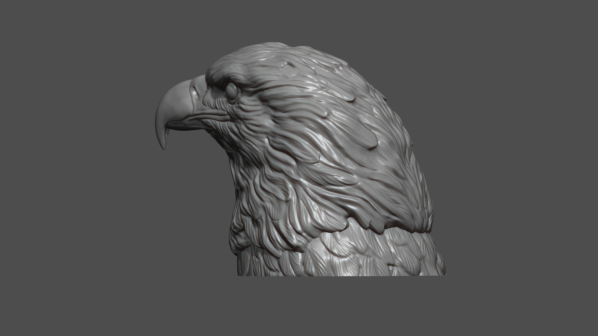 Eagle head 3D print model_6