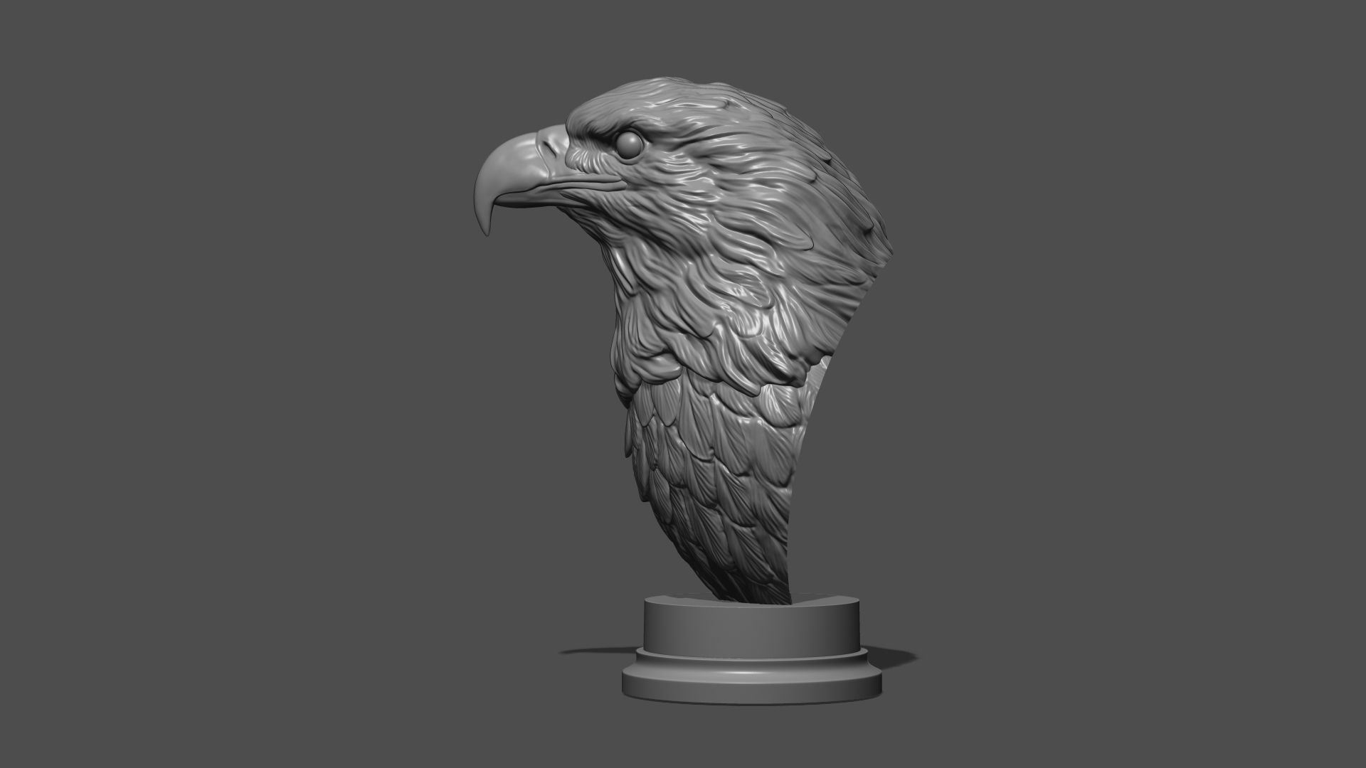 Eagle head 3D print model_14