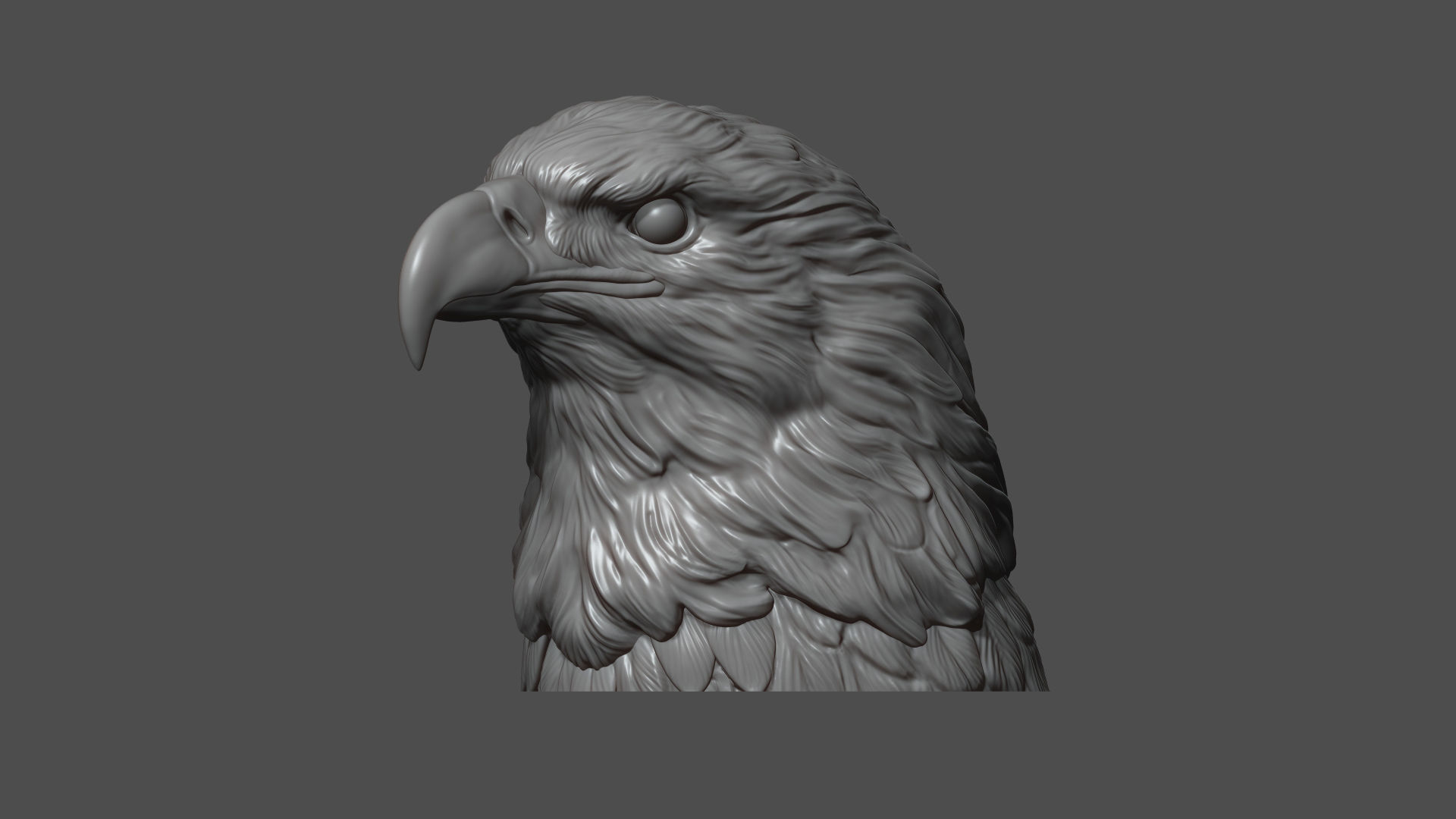 Eagle head 3D print model_5