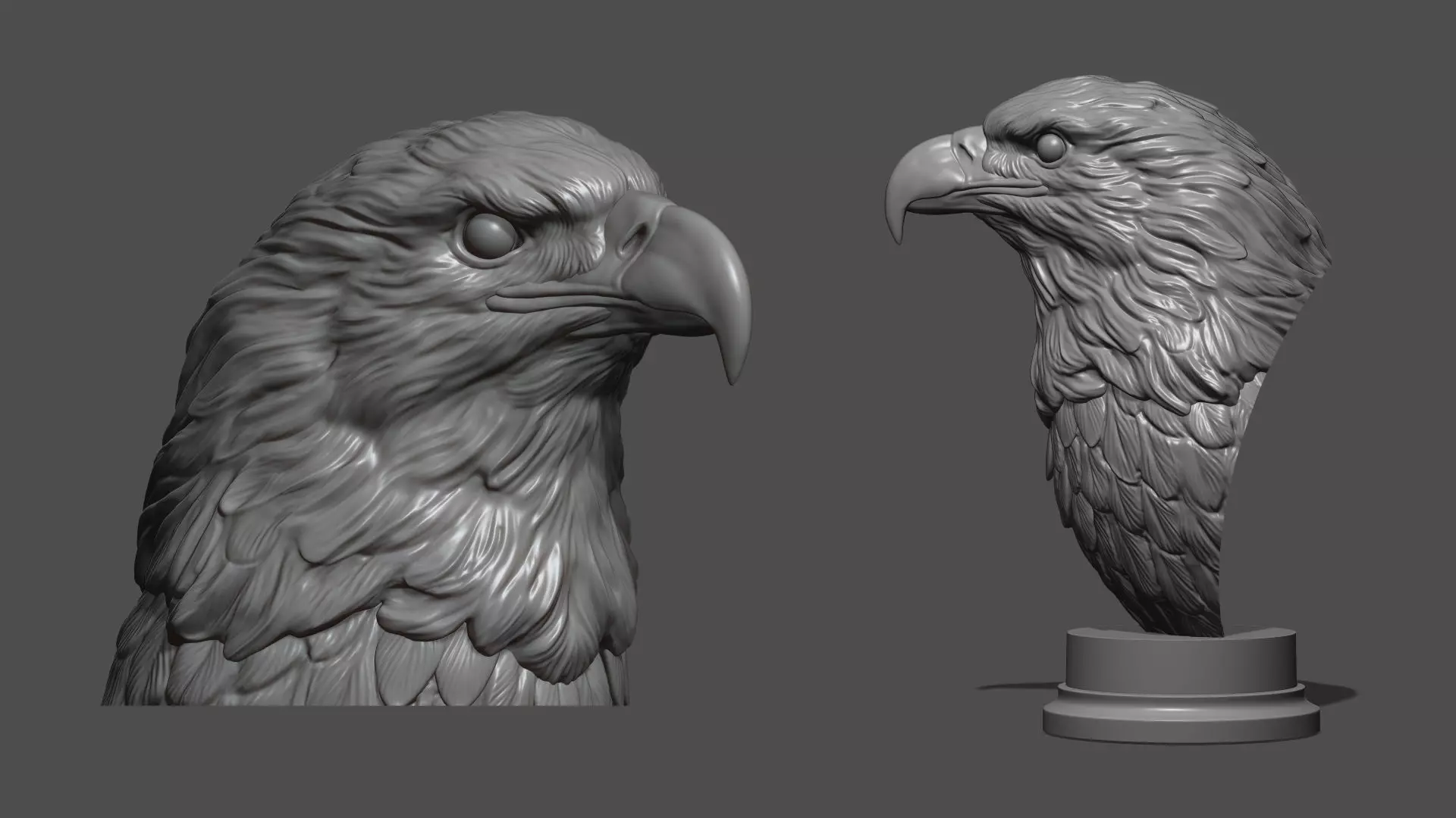Eagle head 3D print model_0