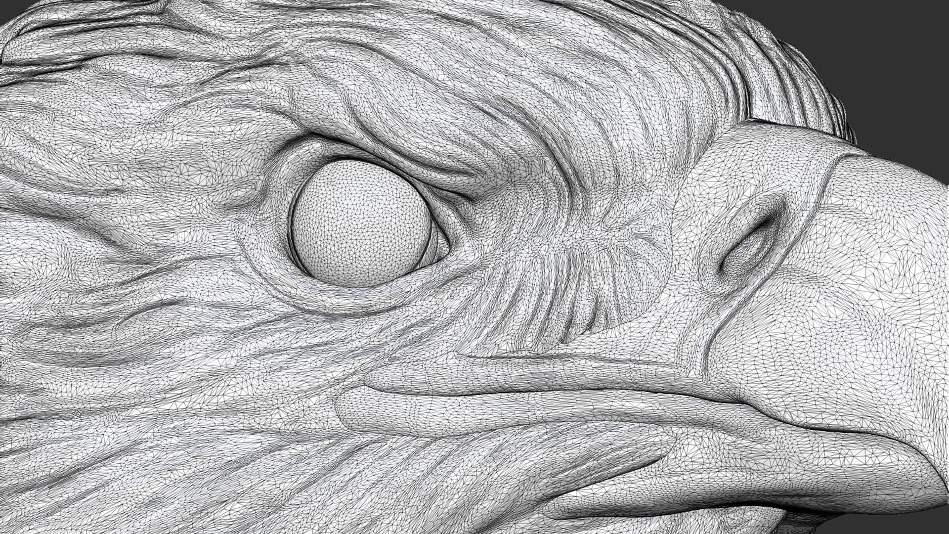 Eagle head 3D print model_20