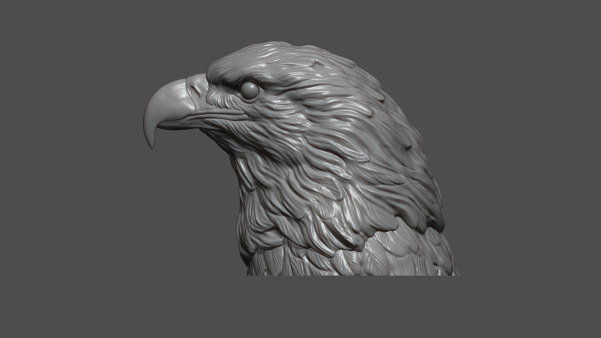 Eagle head 3D print model_8