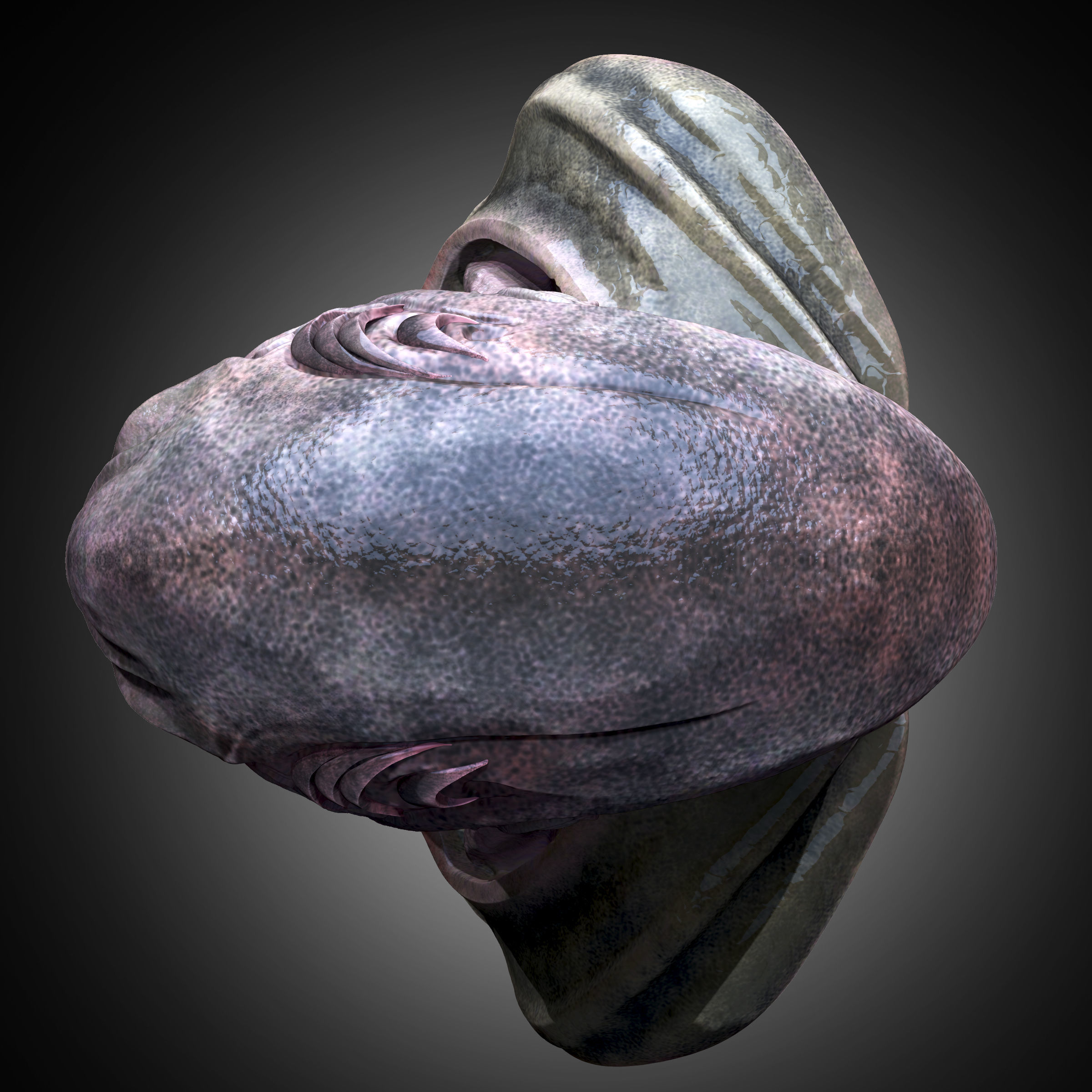 Xenovoid Sentinel 3D model_4