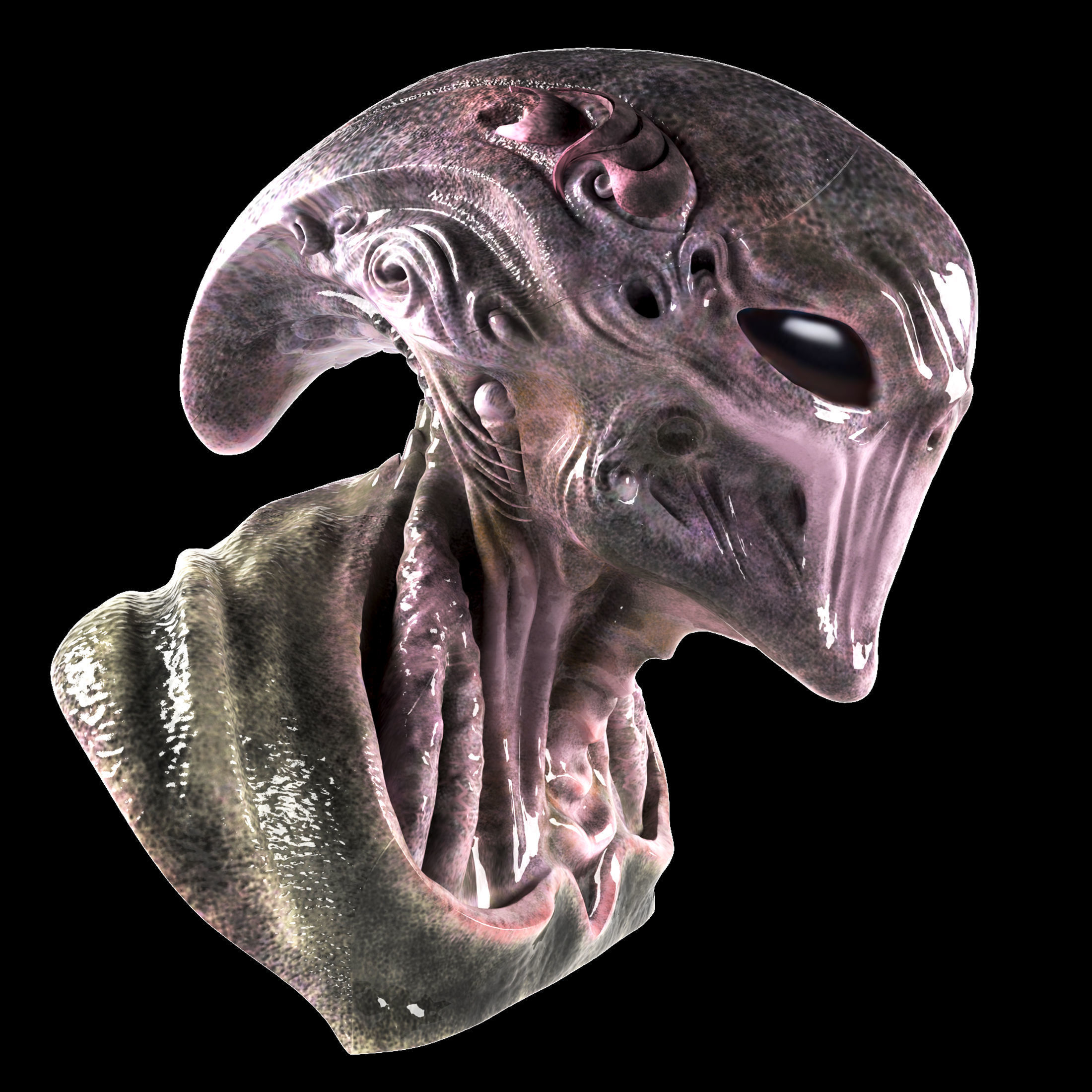 Xenovoid Sentinel 3D model_1