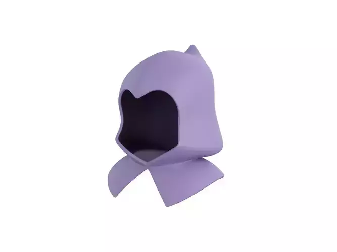 Cartoon Medieval Hood