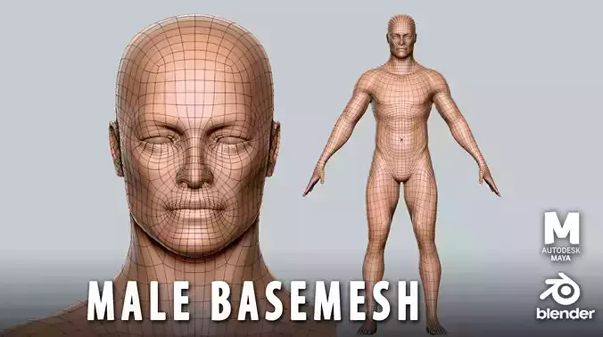 Male Basemesh