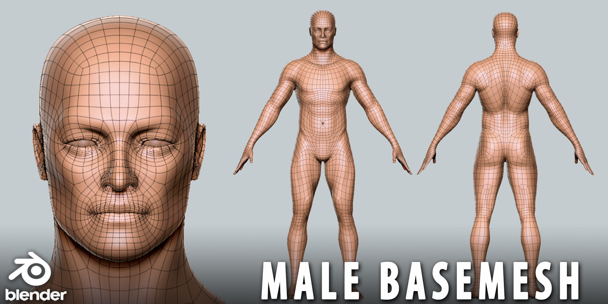 Male Basemesh Low-poly 3D model_1