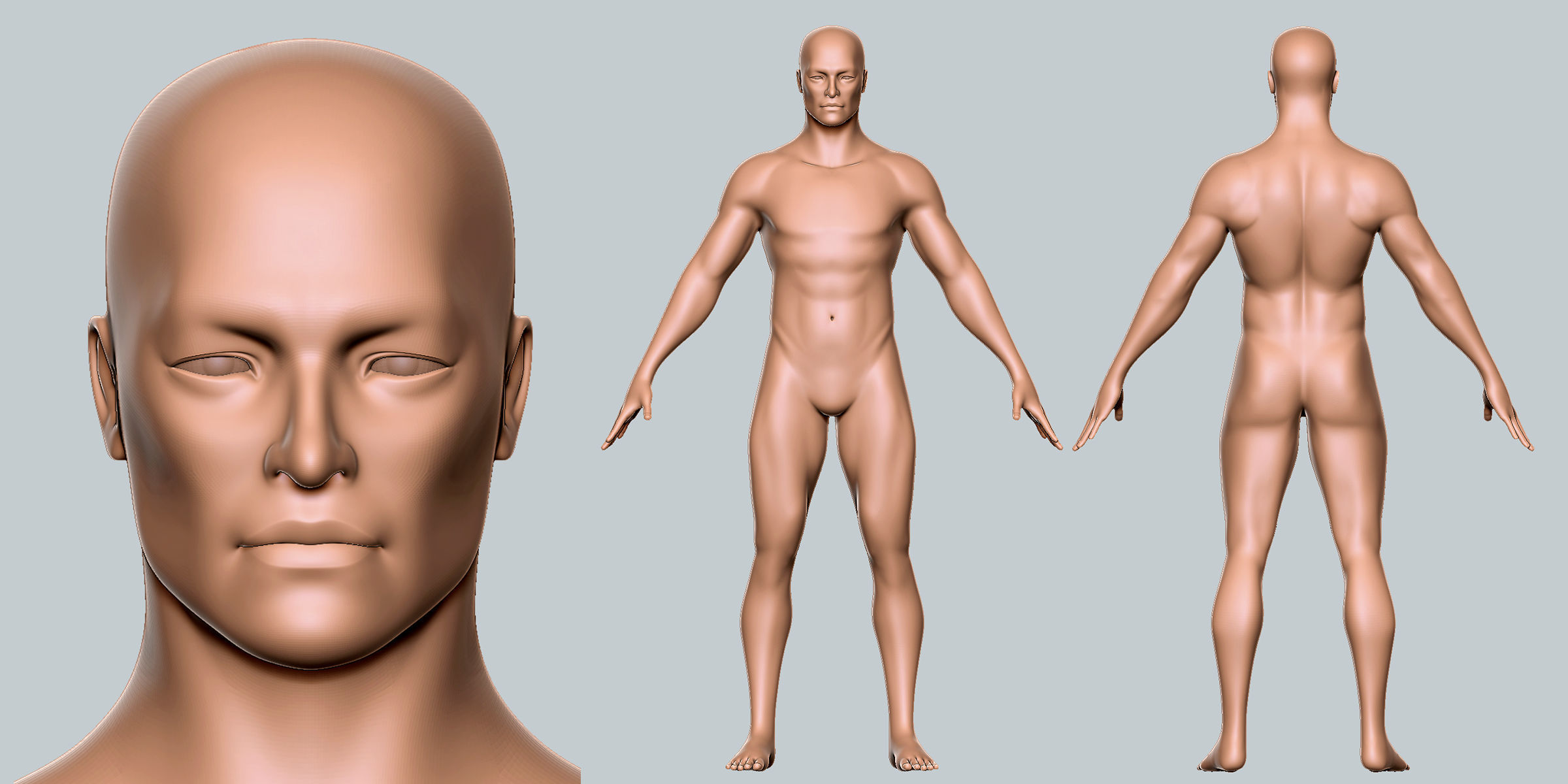 Male Basemesh Low-poly 3D model_3