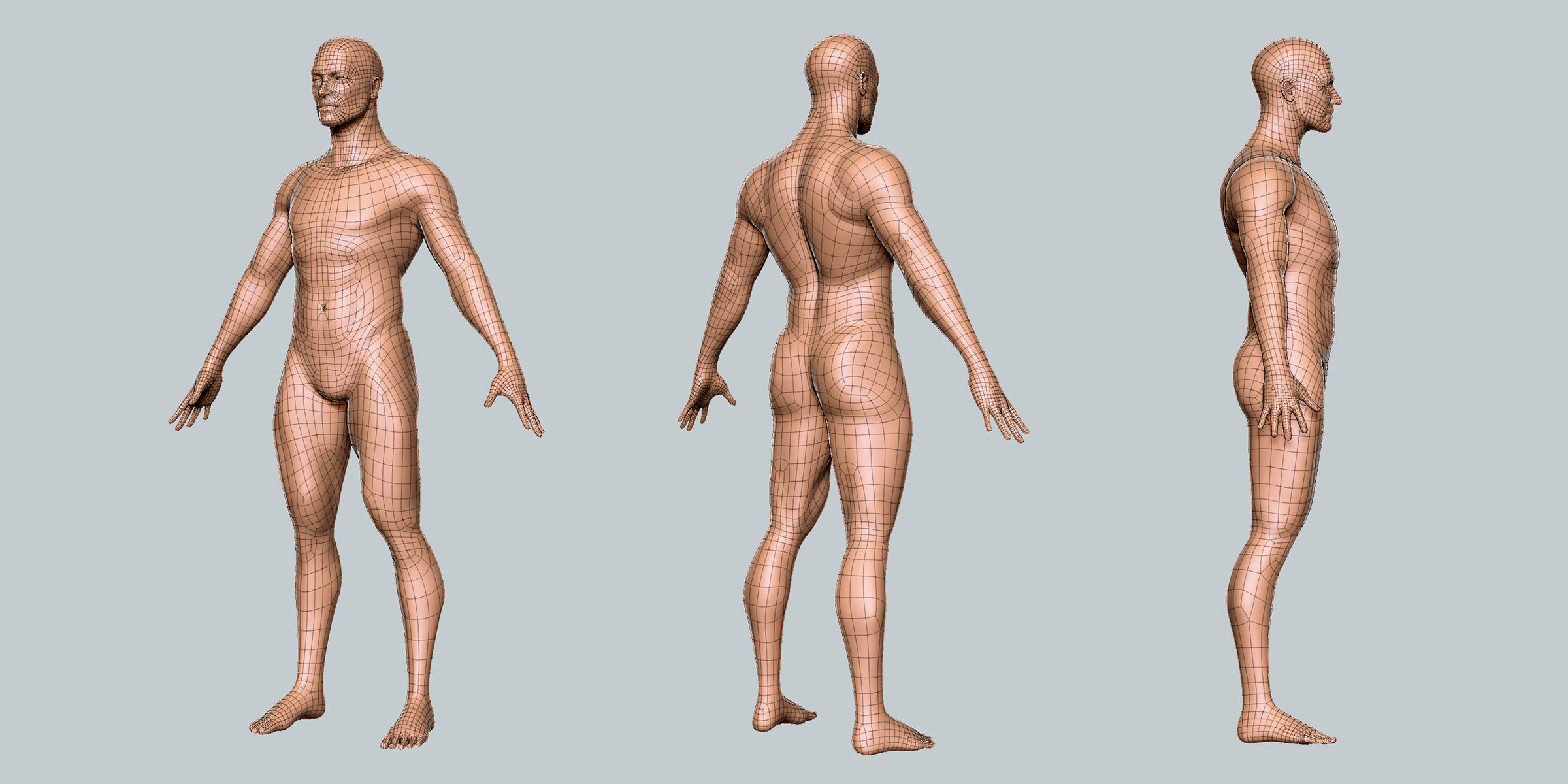 Male Basemesh Low-poly 3D model_2