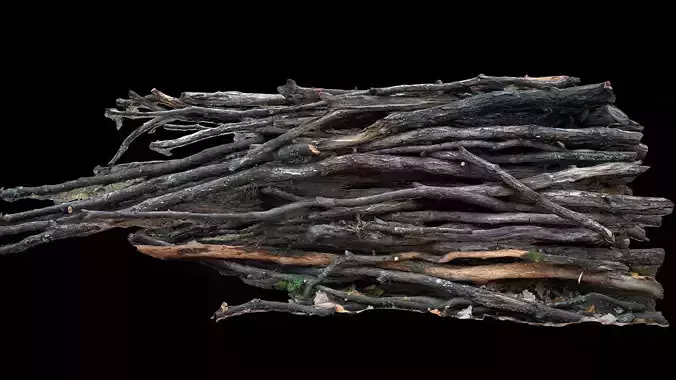 wood branches forest side part3 photogrammetry