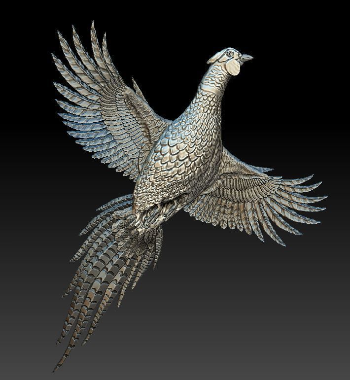 Pheasant 3d model bird hunting art sculptures 3D print model 3D print model_1