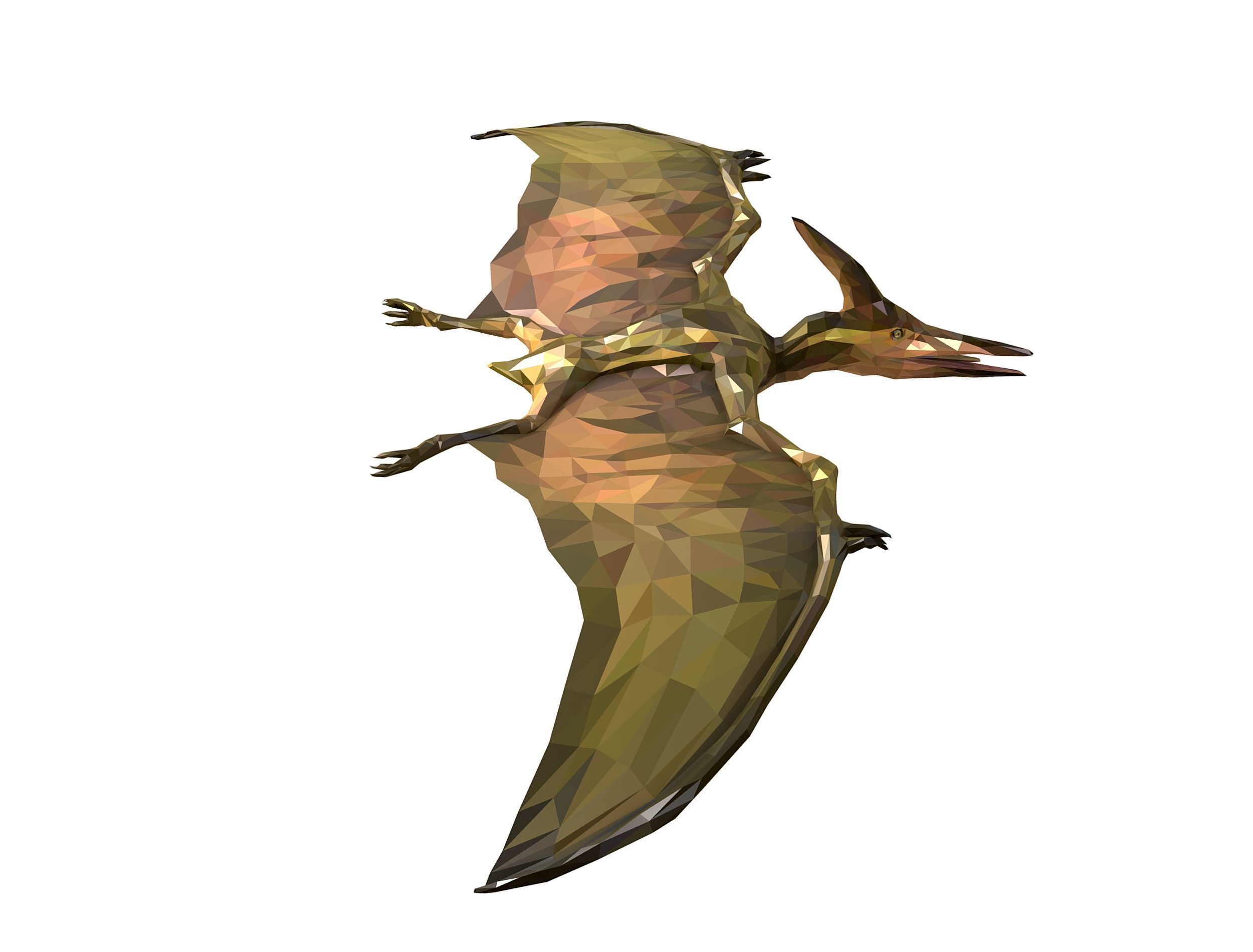 Dinosaur Pteranodon LowPoly Art Low-poly 3D model_9