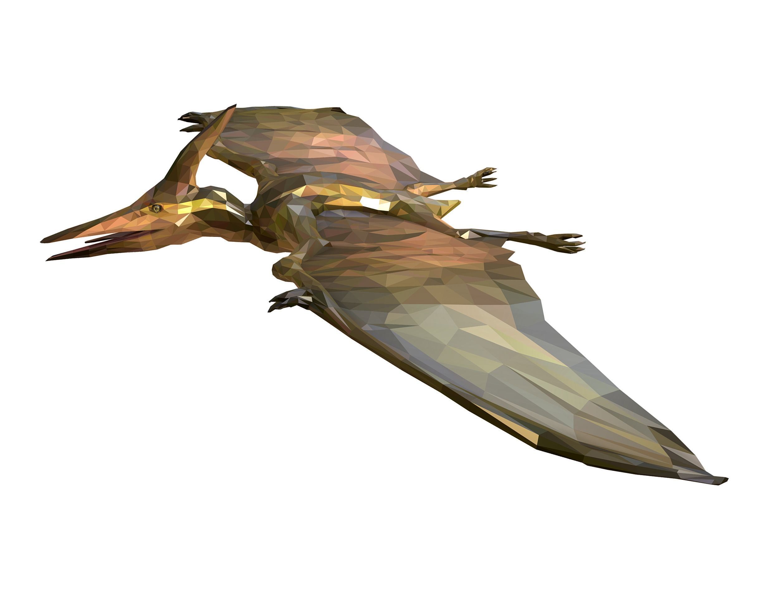 Dinosaur Pteranodon LowPoly Art Low-poly 3D model_19