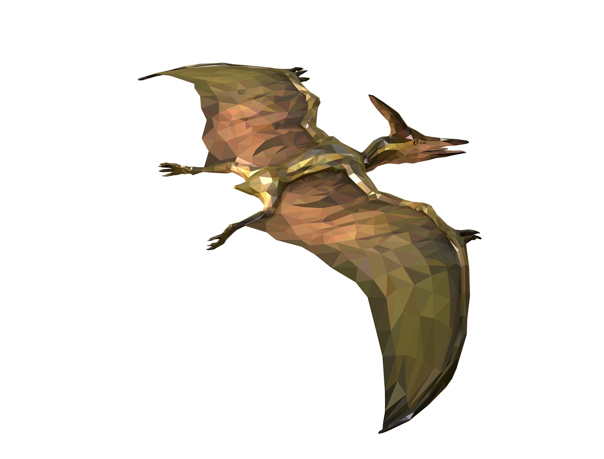 Dinosaur Pteranodon LowPoly Art Low-poly 3D model_10