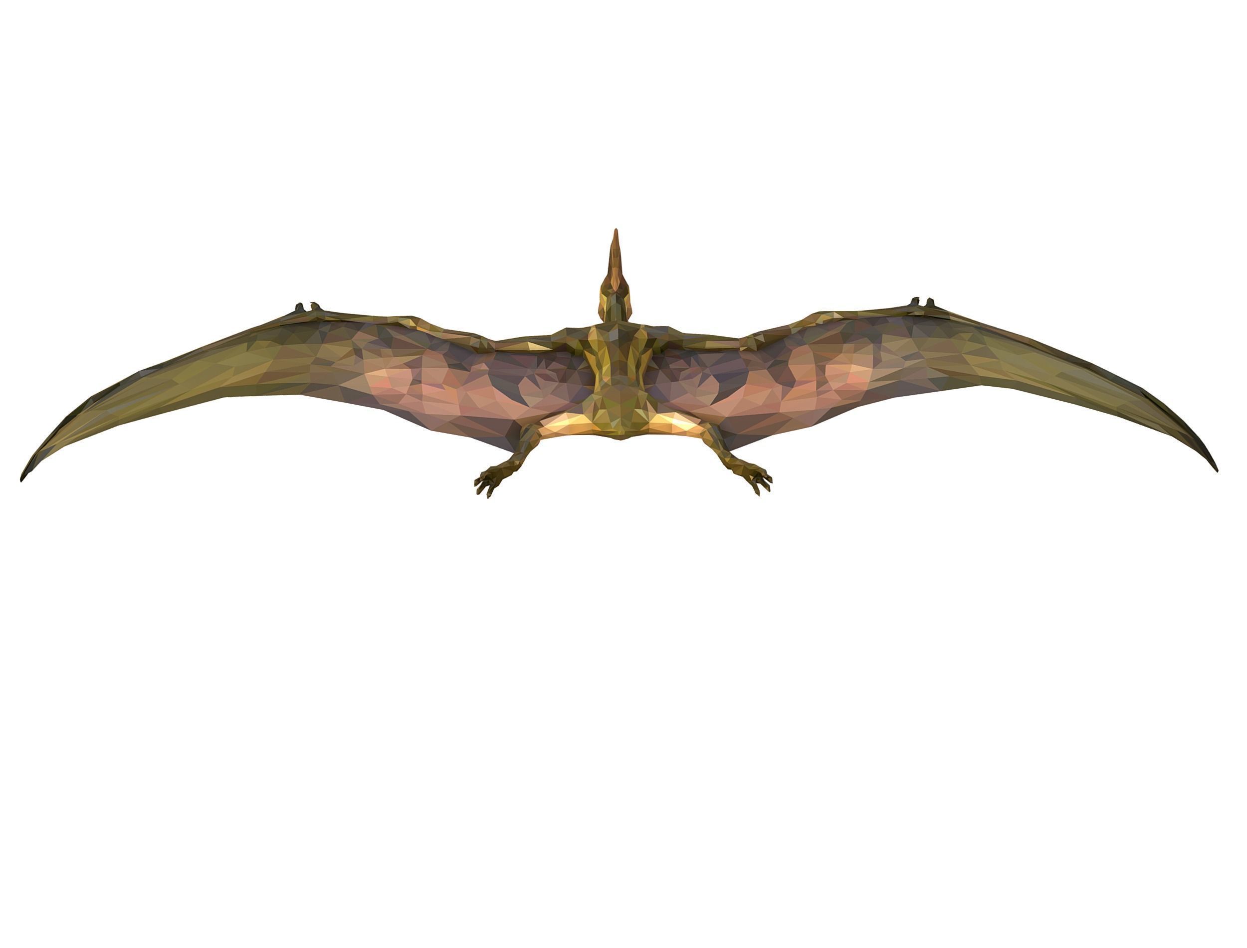 Dinosaur Pteranodon LowPoly Art Low-poly 3D model_14