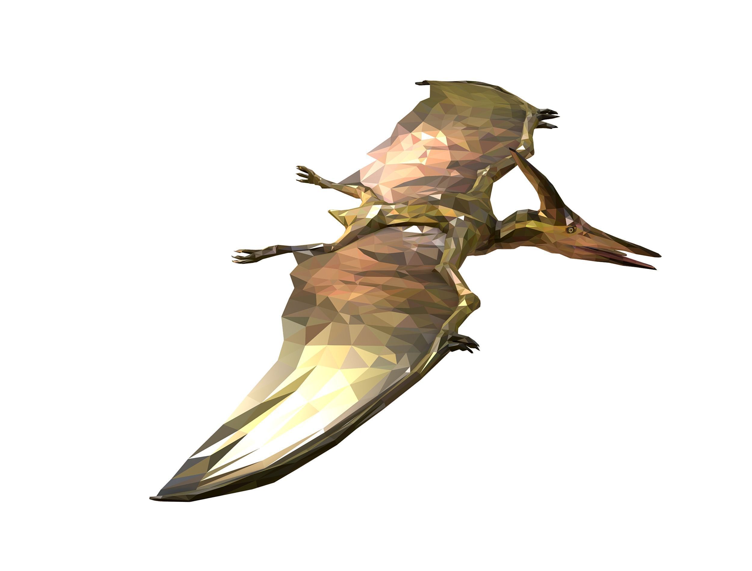 Dinosaur Pteranodon LowPoly Art Low-poly 3D model_8