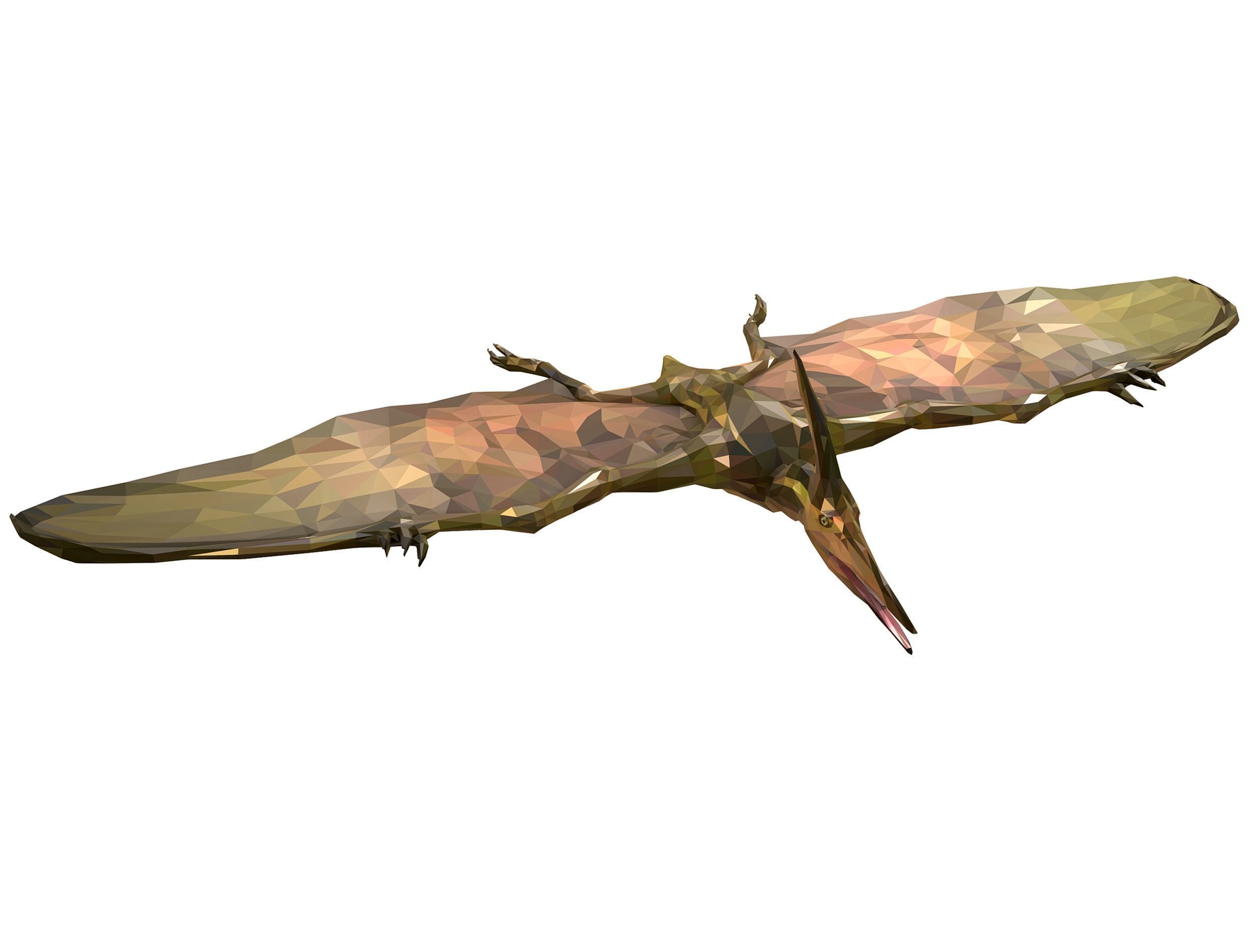 Dinosaur Pteranodon LowPoly Art Low-poly 3D model_5