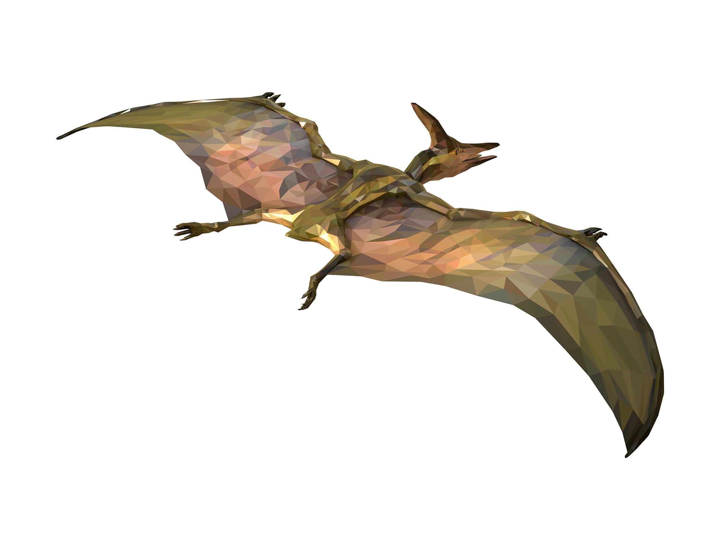 Dinosaur Pteranodon LowPoly Art Low-poly 3D model_11