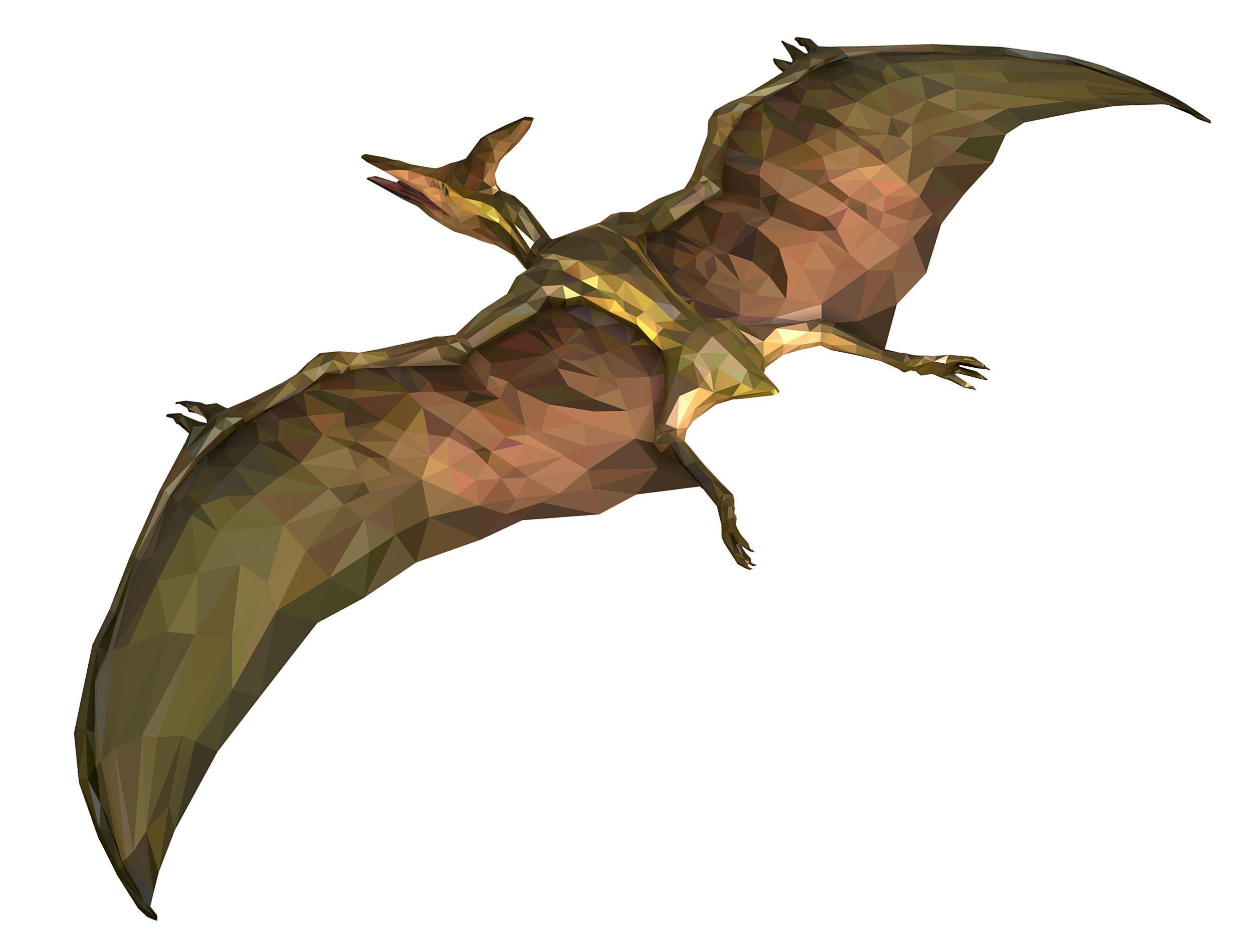 Dinosaur Pteranodon LowPoly Art Low-poly 3D model_29