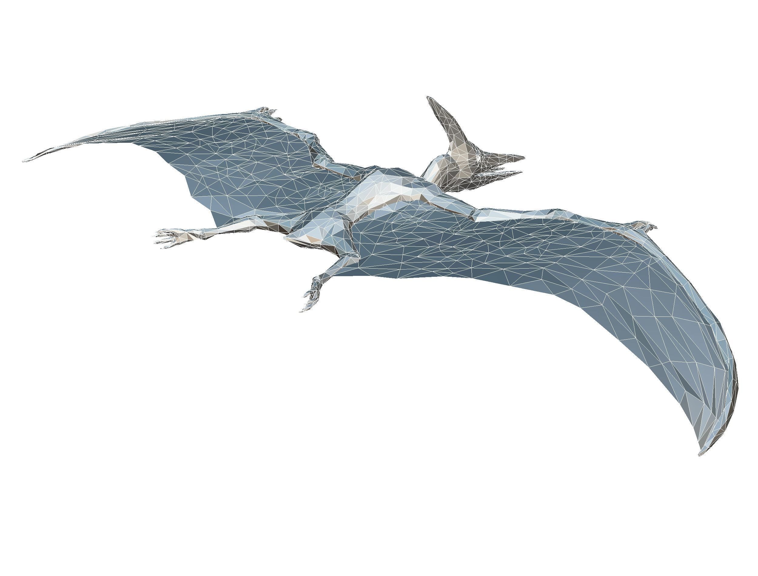 Dinosaur Pteranodon LowPoly Art Low-poly 3D model_33
