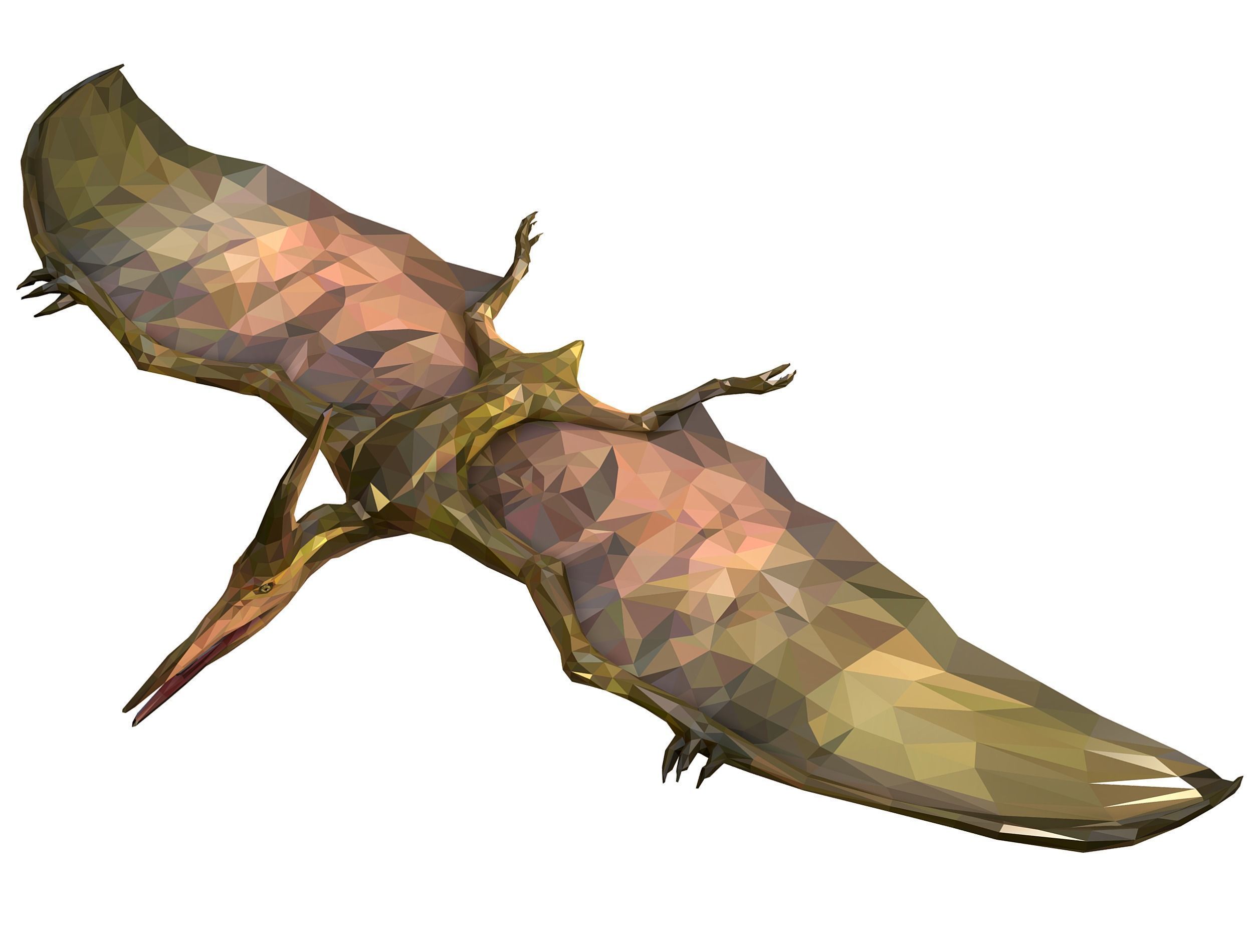 Dinosaur Pteranodon LowPoly Art Low-poly 3D model_26