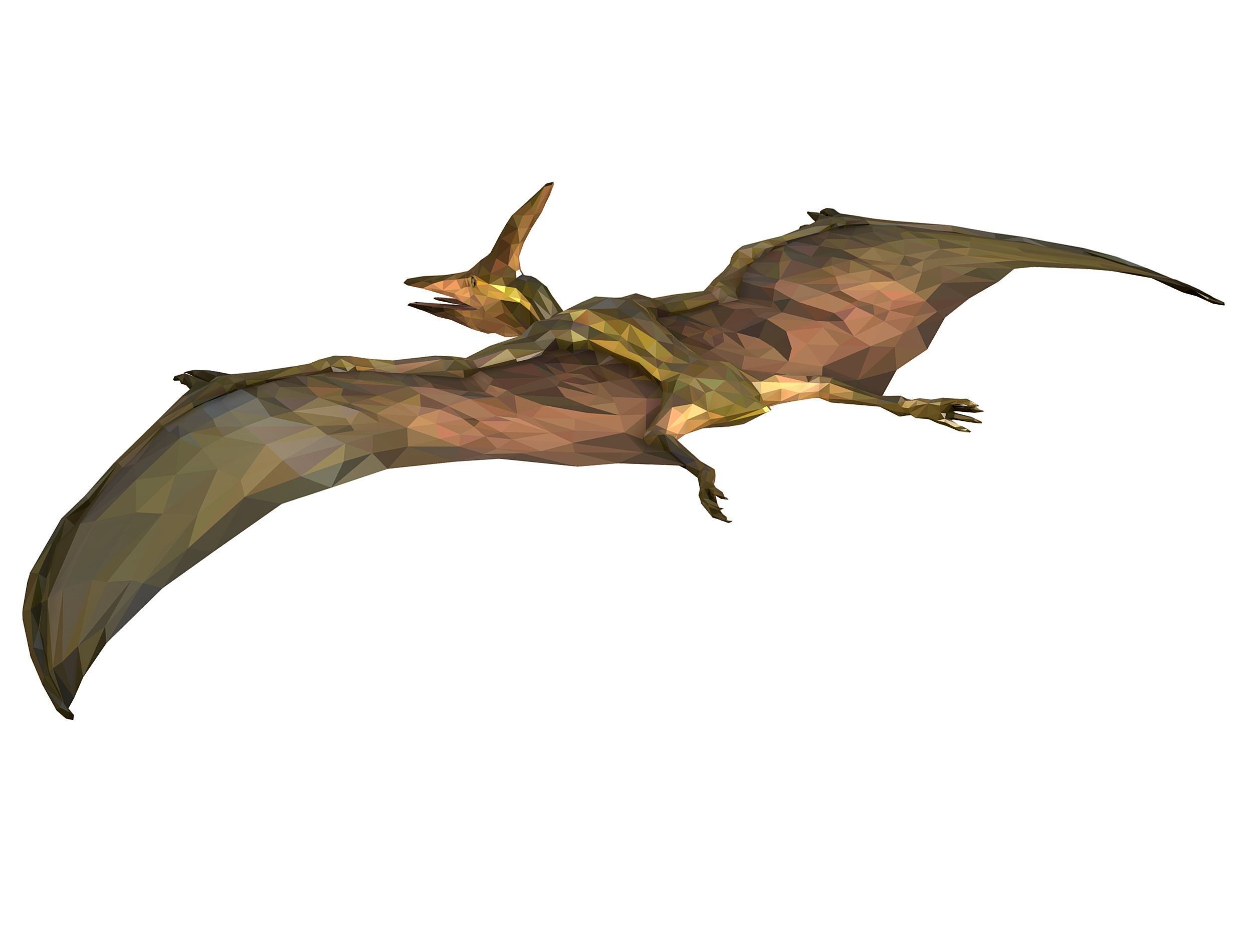 Dinosaur Pteranodon LowPoly Art Low-poly 3D model_16